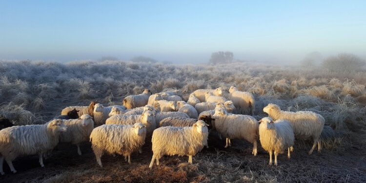uitjes voor kinderen in Drenthe