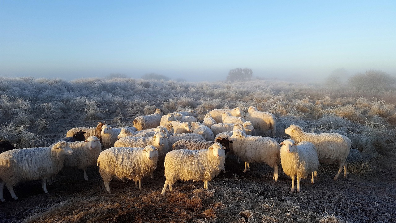 uitjes voor kinderen in Drenthe