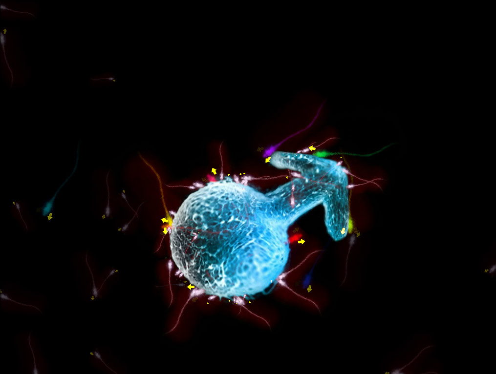ivf