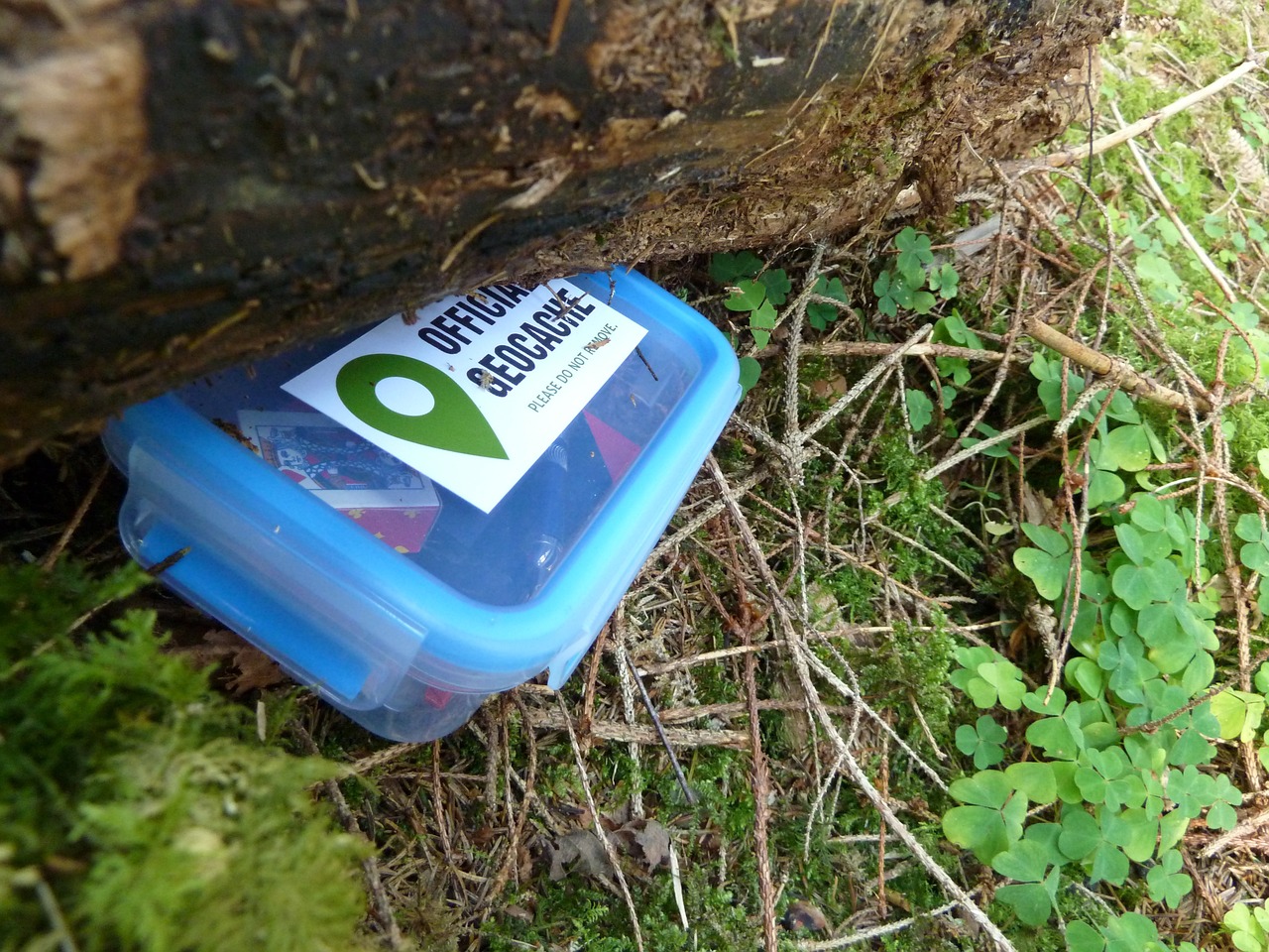 geocaching en kinderen, zoek en vind