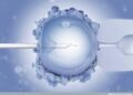 het icsi traject