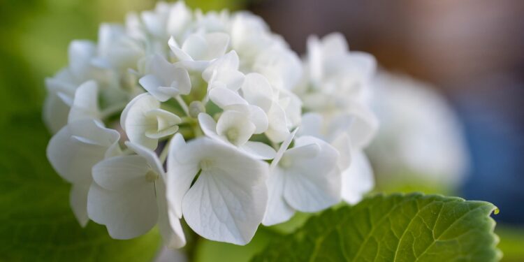 ongewenst kinderloos de stilte waar niemand over praat