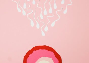 eiceldonatie en vruchtbaarheid