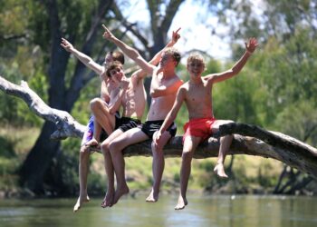 de ontwikkeling van puber