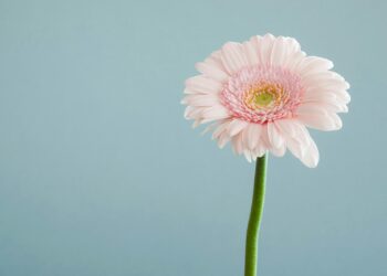 ongewenst kinderloos, wens voor kindje onvervuld blijft