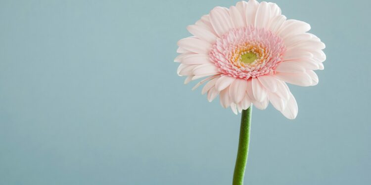 ongewenst kinderloos, wens voor kindje onvervuld blijft