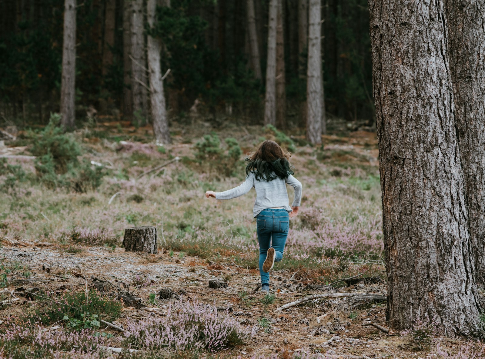 de allerleukste uitjes voor kinderen en gezinnen in Gelderland