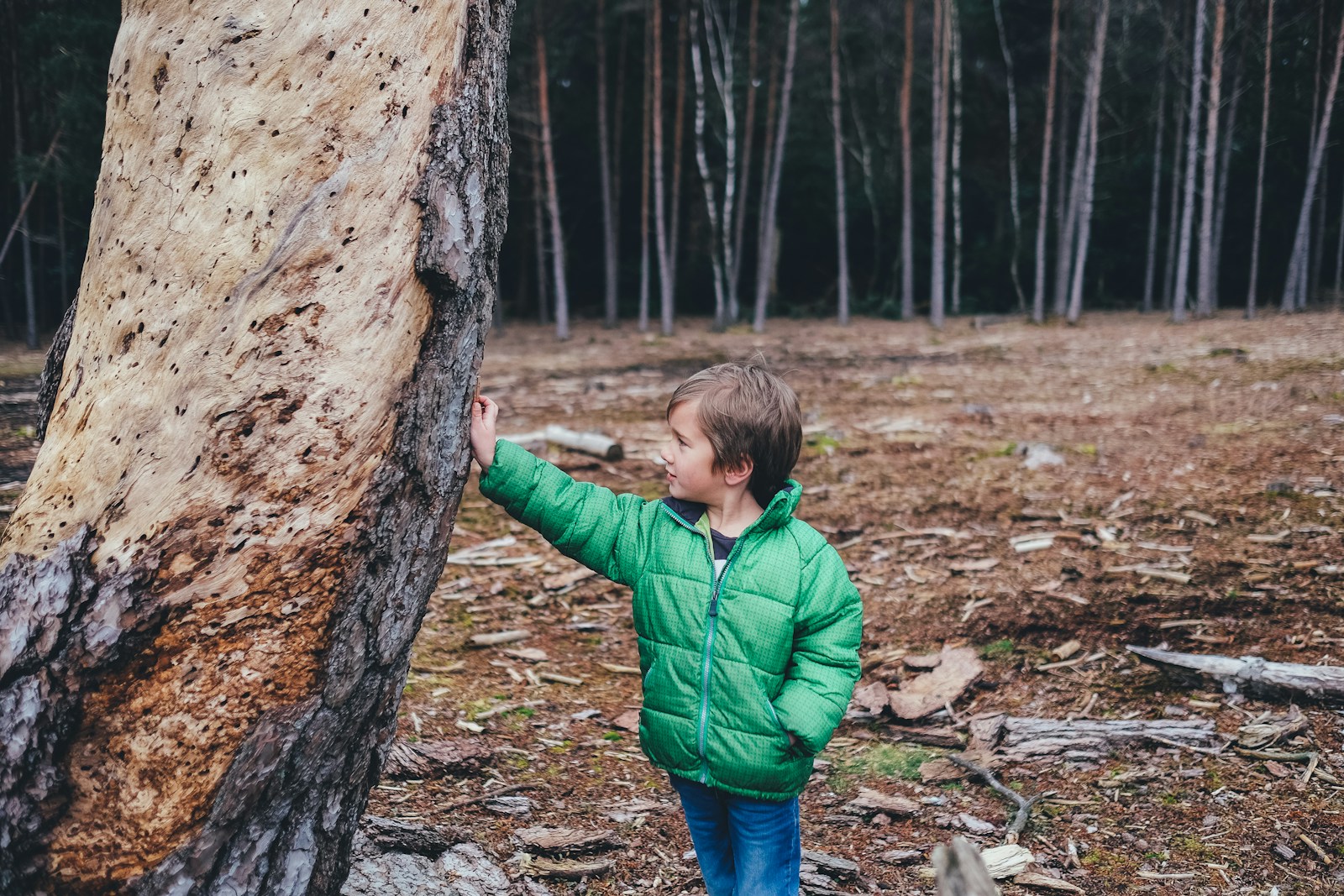 geocaching met kinderen, zoek en vind