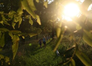 adoptieverlof in 2025