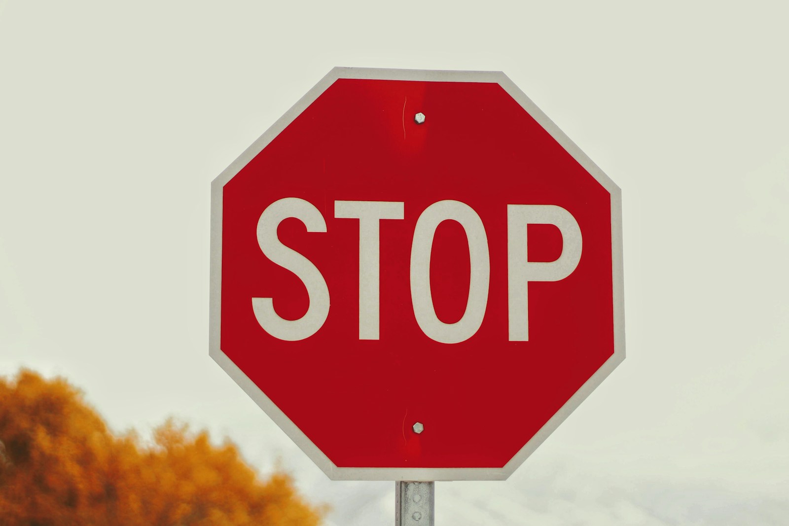 selective-photography of stop signage lerares